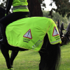 Shires EQUI-FLECTOR® Mesh Exercise Sheet (RRP £29.99)